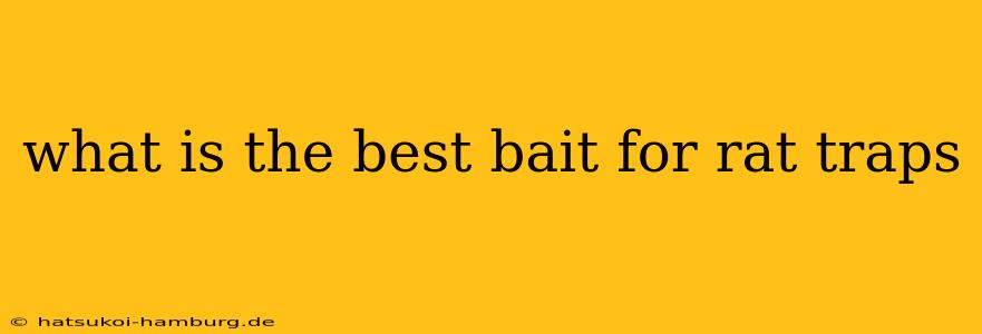 what is the best bait for rat traps