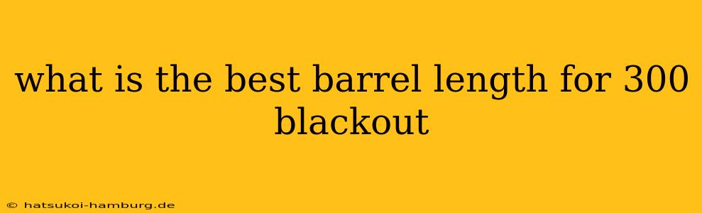 what is the best barrel length for 300 blackout