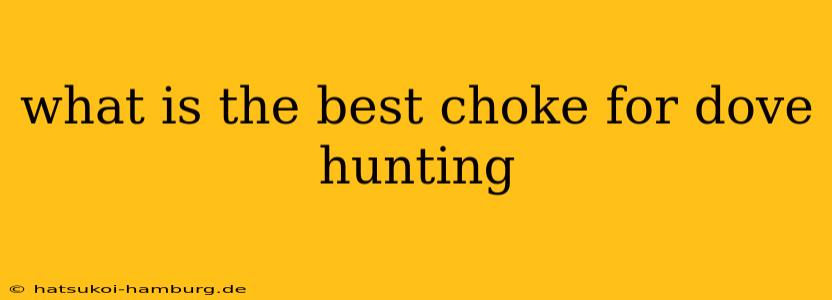 what is the best choke for dove hunting
