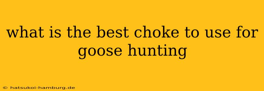 what is the best choke to use for goose hunting