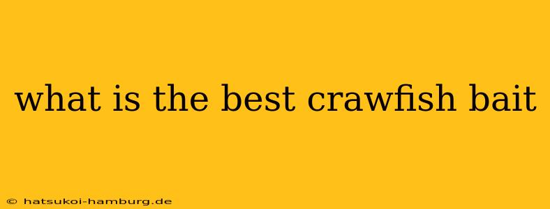 what is the best crawfish bait