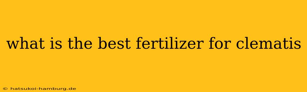what is the best fertilizer for clematis