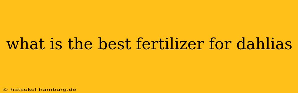 what is the best fertilizer for dahlias