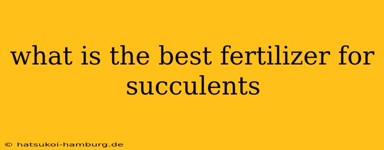what is the best fertilizer for succulents