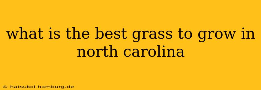 what is the best grass to grow in north carolina