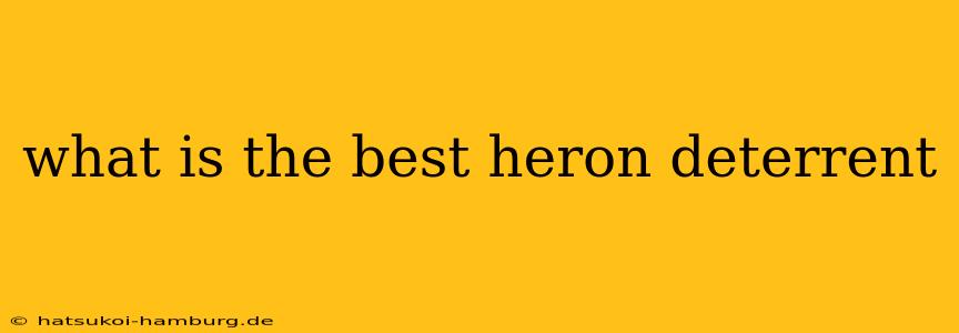 what is the best heron deterrent