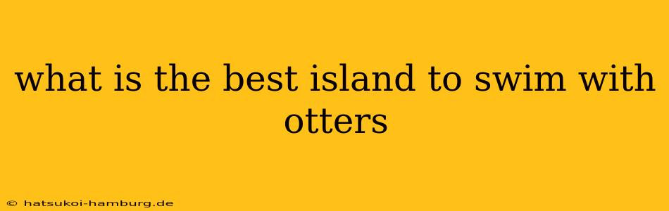 what is the best island to swim with otters