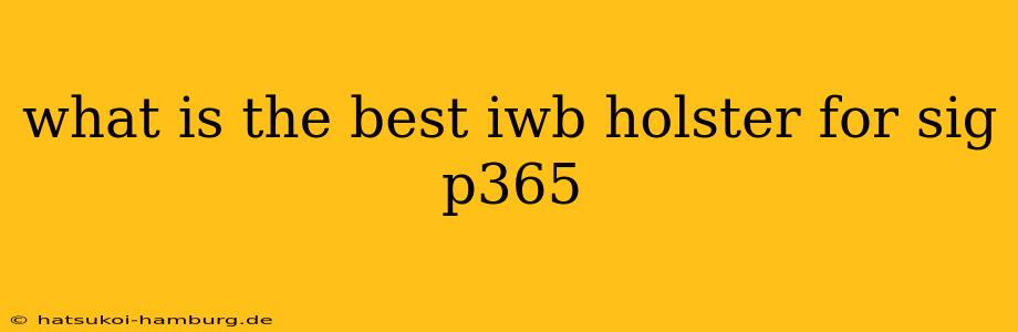 what is the best iwb holster for sig p365