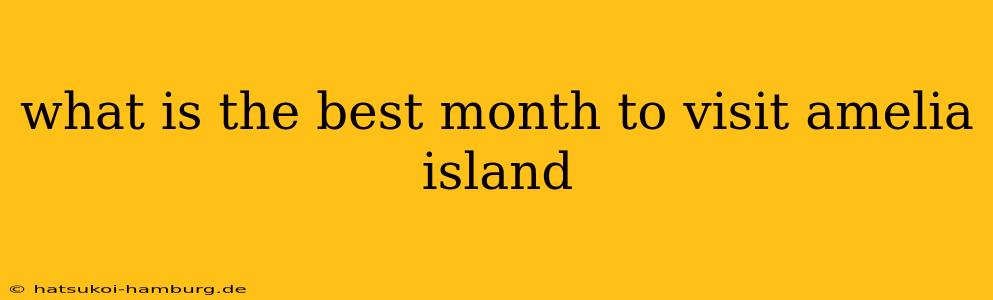 what is the best month to visit amelia island