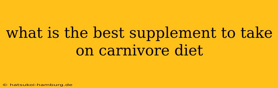 what is the best supplement to take on carnivore diet