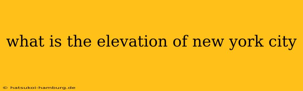 what is the elevation of new york city