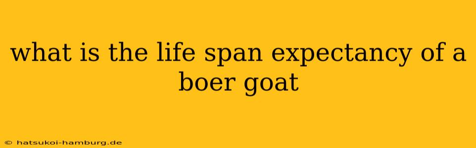 what is the life span expectancy of a boer goat