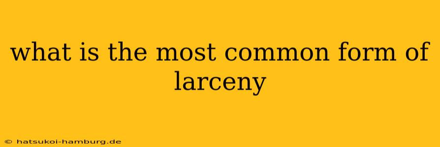 what is the most common form of larceny