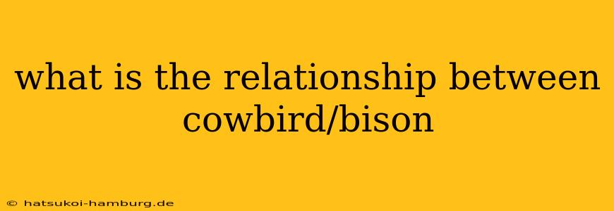what is the relationship between cowbird/bison