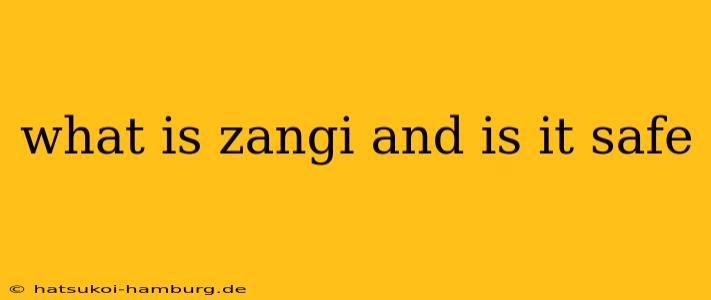 what is zangi and is it safe