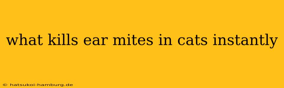 what kills ear mites in cats instantly