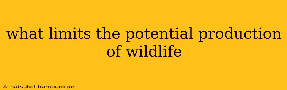 what limits the potential production of wildlife