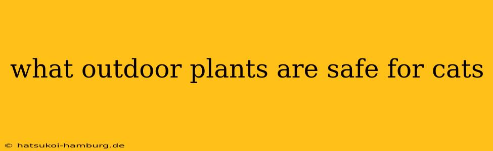 what outdoor plants are safe for cats