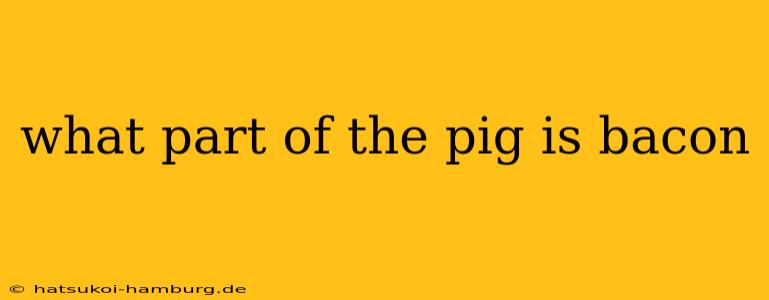 what part of the pig is bacon