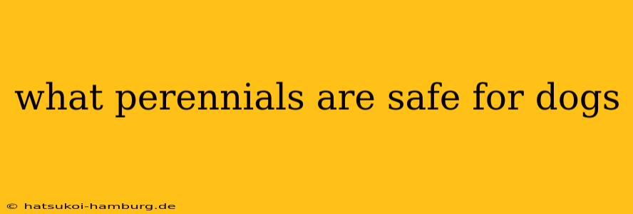 what perennials are safe for dogs