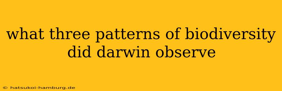 what three patterns of biodiversity did darwin observe