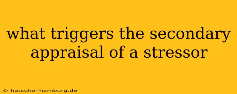 what triggers the secondary appraisal of a stressor