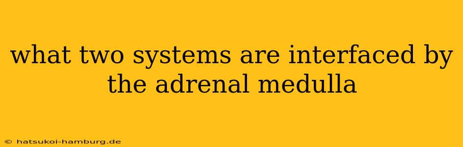 what two systems are interfaced by the adrenal medulla