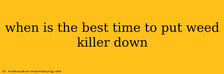 when is the best time to put weed killer down