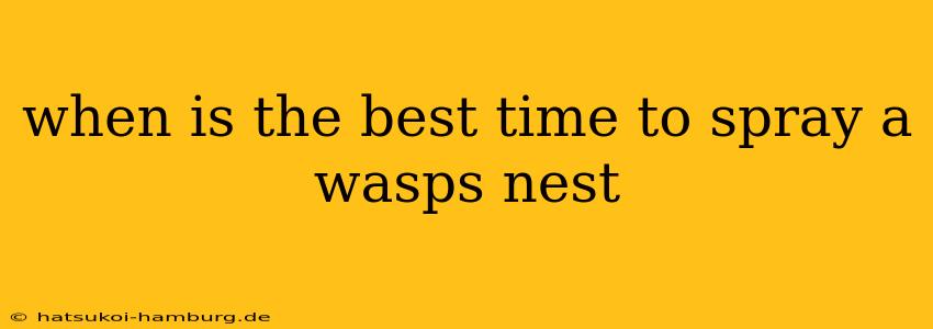 when is the best time to spray a wasps nest