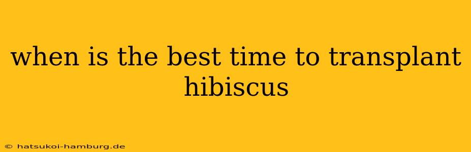 when is the best time to transplant hibiscus