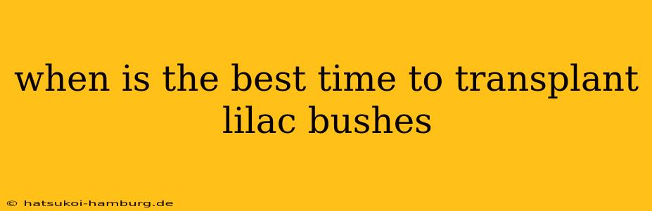 when is the best time to transplant lilac bushes