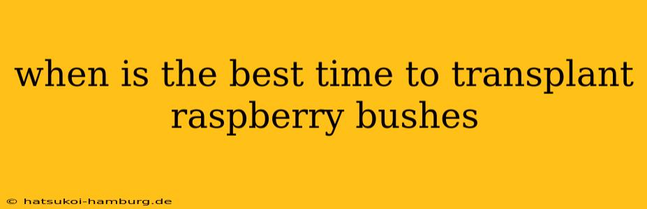 when is the best time to transplant raspberry bushes