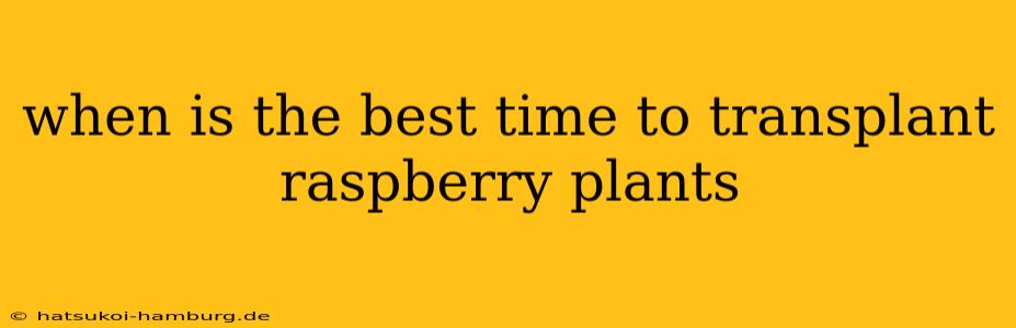 when is the best time to transplant raspberry plants