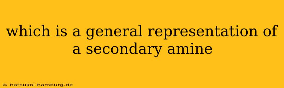 which is a general representation of a secondary amine