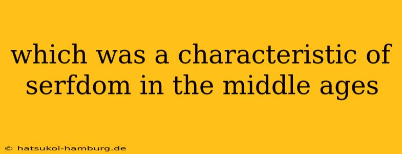 which was a characteristic of serfdom in the middle ages