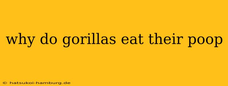 why do gorillas eat their poop